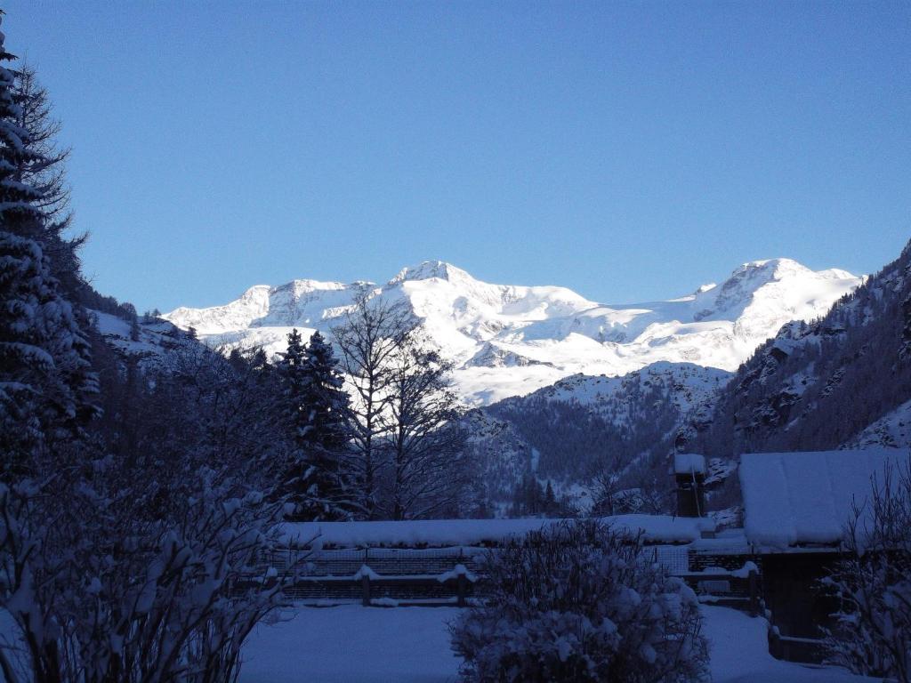 Hotel Villa Tedaldi Gressoney-Saint-Jean Extérieur photo