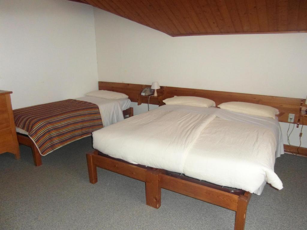 Hotel Villa Tedaldi Gressoney-Saint-Jean Extérieur photo